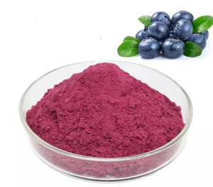 Commercio all'ingrosso biologico liofilizzato mirtillo selvatico in polvere succo di frutta in polvere | Fornitura all'ingrosso prezzo di fabbrica per alimenti e bevande - Product Image 3