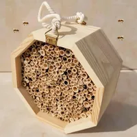 Tubes en bambou très demandés pour le nidification des abeilles, l'hébergement des insectes, le soutien des pollinisateurs et une utilisation fiable pour la faune – Origine Vietnam