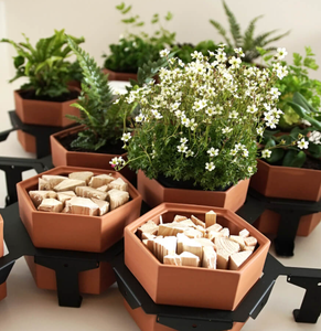 โมดูลปลูกต้นไม้แบบ "Living Wall" ของ KSK ได้รับการรับรองมาตรฐาน FSC 100% - Product Image 3