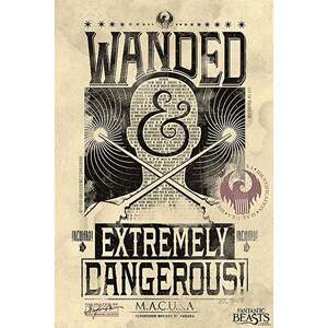 Fantastic Beasts Wall <b>Poster</b> Wanded & Extremely Dangerous Made of Durable Paper - Product Image 1