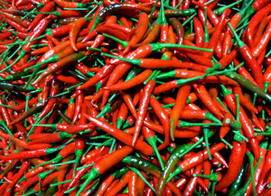 Piments surgelés IQF entiers et en tranches de qualité supérieure en provenance du Vietnam - Product Image 2