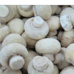 Venta al por mayor de hongos ostra de grado exportación, cultivados directamente en granjas de Indonesia, en rodajas secas, para uso alimentario, congelación IQF, 12 unidades. - Product Image 6
