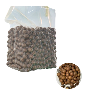 Mejor Precio, Calidad Premium, Precio de Fábrica, Nueces de Macadamia Tostadas y Partidas a Granel - Product Image 1