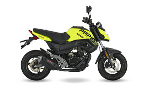 PAPIO 2023 - Product Image 4