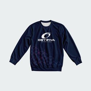 Sudaderas Personalizadas con Cuello Redondo 2026, Suéter para Hombre, Camisetas de Manga Larga, Sudaderas Gruesas de Forro Polar de Poliéster - Product Image 6