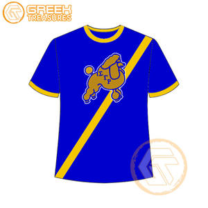 Venta al por mayor Sigma Gamma Rho mujeres camiseta hermandad ropa algodón Jersey alta calidad transpirable camiseta mujeres ropa griega - Product Image 6