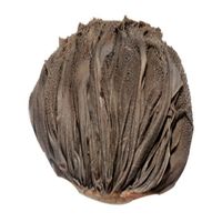 Omasum de bœuf salé sec frais de meilleure qualité Bœuf halal Bœuf salé Omasum Buffalo Omasum vache nettoyée estomac fournisseur