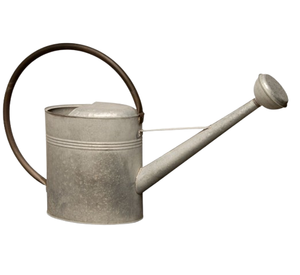 Large Capacity Gold Polished Most Popular <b>Water</b> Cane Home and Garden Decorative Classic Finished Metal <b>Water</b> <b>Can</b> - Product Image 6