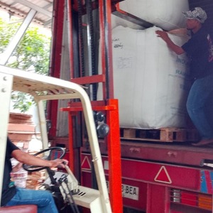 Producto de Categoría PA: Hilo de Neumáticos 100% Nylon 66, Residuo de Fabricación Indonesia - Product Image 5