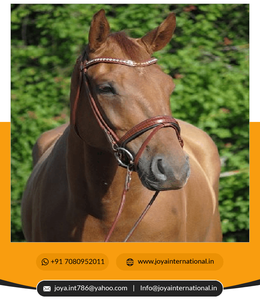 2022 personnalisé roulé snaffle bride en gros prix usine haute qualité cheval bride à vendre léger - Product Image 2