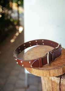 Collar de perro con doble tachonado inteligente de coñac, Collar de entrenamiento de cuero de 38mm, característica duradera - Product Image 4