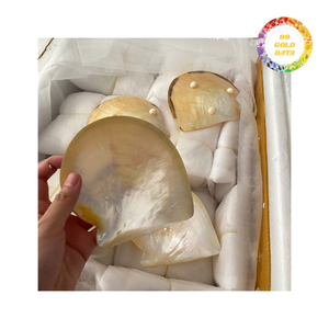 Vente chaude Assiette en nacre Assiette en coquillage artisanale pour les fournitures de fête de mariage Vaisselle en coquillage unique Vente en gros - Product Image 5