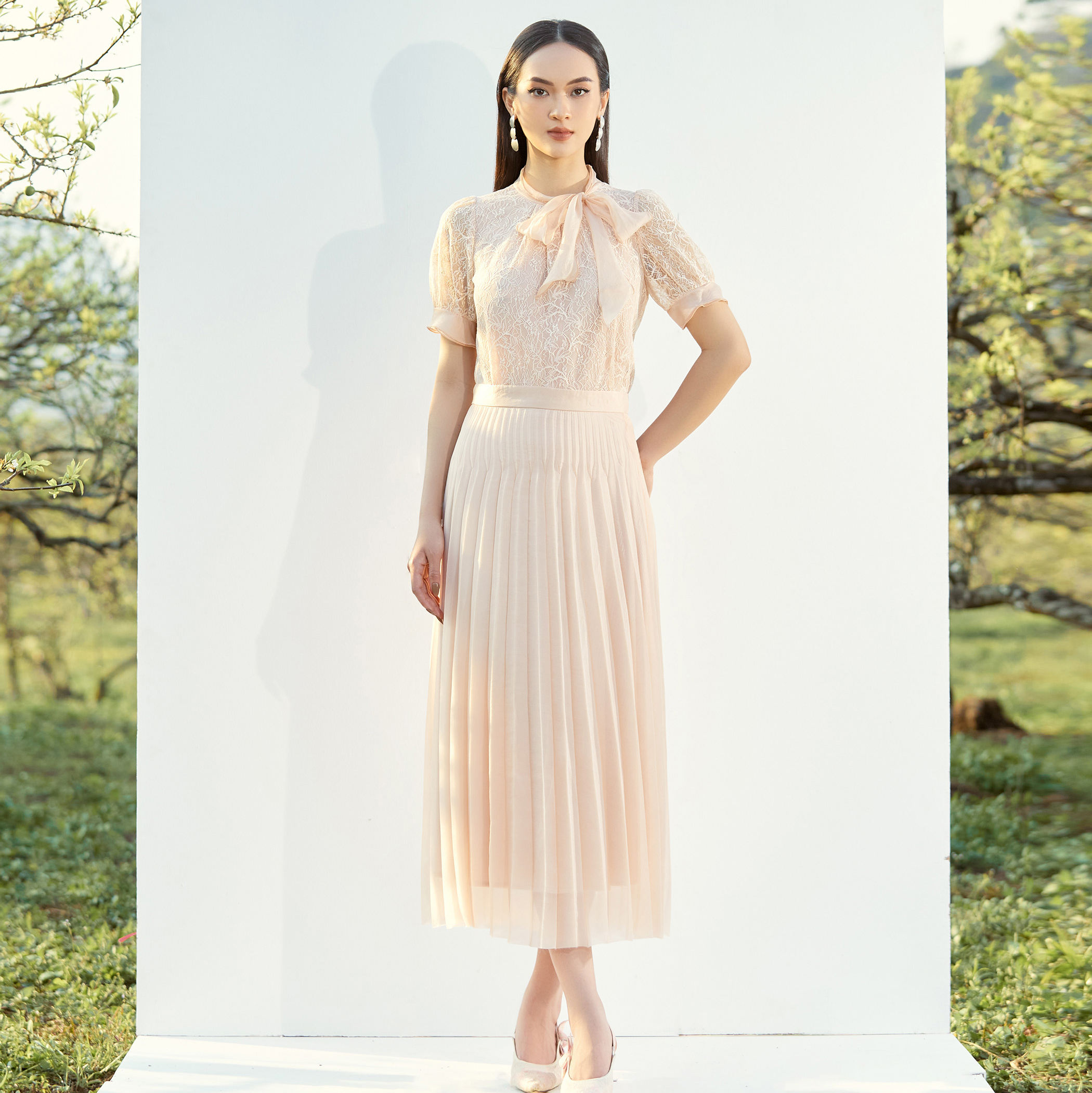 ด๊อกวู้ดซีด