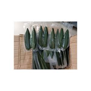 2024 nouvelle récolte feuille de bambou meilleur prix grandes feuilles de bambou pour la décoration de plat et l'emballage alimentaire spécial fabriqué au Vietnam - Product Image 2