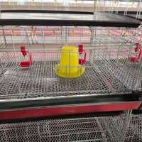 Cage d'élevage de poussins de type H, nettoyage automatique du fumier, double moteur, cage à volailles en acier galvanisé, poussins de 0 à 14 semaines