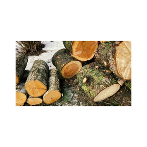 Bois de chauffage en acajou de première qualité fourni en vrac pour les industries du chauffage et de la cuisine - Product Image 6