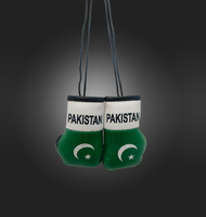 Mini-gants de boxe personnalisés en cuir PU avec motif drapeau pakistanais pour accessoires de voiture - Durables et personnalisables
