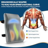 Coussin de soutien de contour en mousse à mémoire de forme lombaire pour les douleurs lombaires Muscle Sciatique Arthrite Ostéoporose Gonflement Améliorer la posture