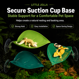 Fournitures en gros pour reptiles : hamac en feuille à ventouse en PVC, décoration de <span class=keywords><strong>terrarium</strong></span> pour lézards et geckos - Product Image 1