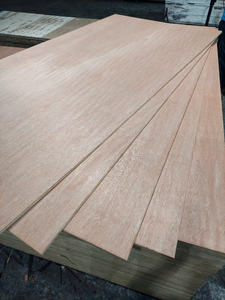 Contrachapado impermeable AA de grado comercial de 12mm, estilo de diseño moderno para USO HOTELERO, conforme a EUTR, fabricado en Vietnam - Product Image 4