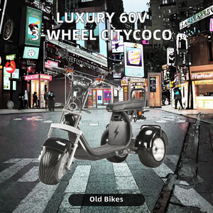 ยูโรเปียน ซิตี้โคโค่ ลักชัวรี่ รถสามล้อไฟฟ้า 60V แบตเตอรี่ 55ah จดทะเบียนได้ ใช้บนถนนได้ ล้อใหญ่ สำหรับผู้ใหญ่ ความเร็ว 40-60 กม./ชม. - Product Image 6