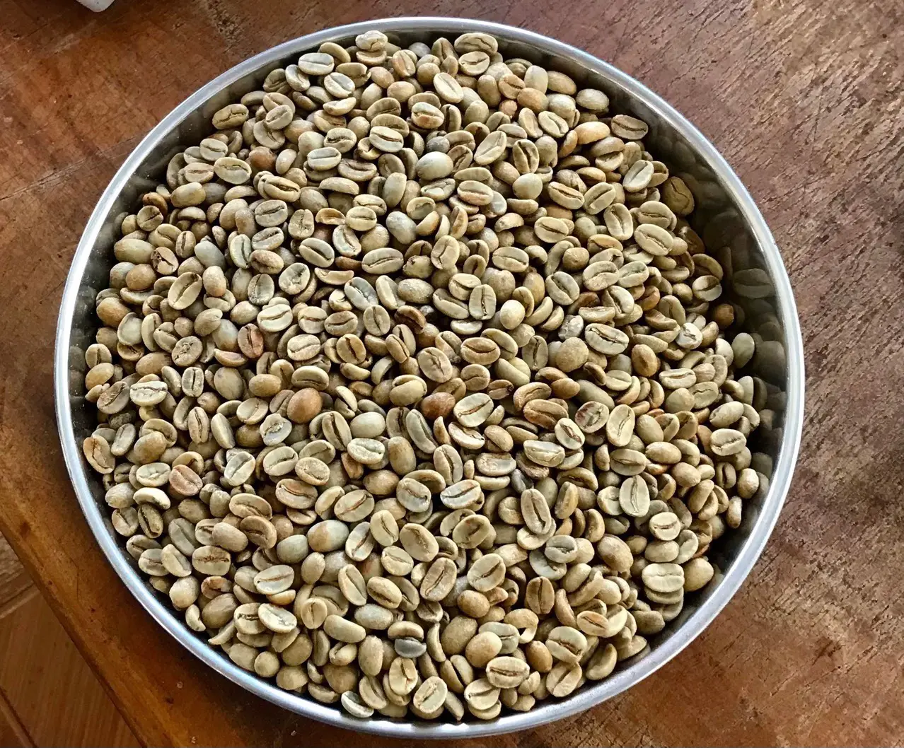 コーヒーロースター/卸売業者のためのアラビカ/ロブスタコーヒー豆。TEL/WHATSAPP 84 976727907 Ms Carolina
