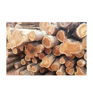 Se vende madera Meranti al mejor precio online - Product Image 4