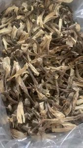 เห็ดเขากวางแห้งแบบพรีเมียม1lb 250กรัมจากผู้ผลิตเวียดนาม - Product Image 6