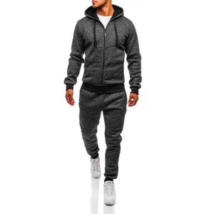 Logotipo bordado de alta calidad Algodón Moda Casual Zip up Hoodie RL Polo Fleece Tallas grandes Conjuntos de hombre Sudadera con capucha unisex Conjunto de 2 piezas - Product Image 1