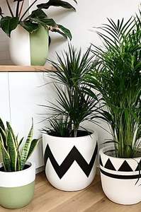 NUEVO Plantador de textura atractiva Venta caliente nuevo diseño simple mejor oferta con los precios más bajos por proveedores verificados - Product Image 6