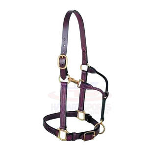 Rênes de courses de chevaux équestres de haute qualité Style occidental Logo personnalisé en cuir Sports de plein air fabriqués au Pakistan Équipement d'équitation - Product Image 5