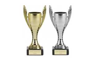 ถ้วยรางวัลถ้วยเงินและทองรางวัลถ้วยรางวัลเงินหรือทองถ้วยรางวัลถ้วยแกะสลักส่วนบุคคล - Product Image 4