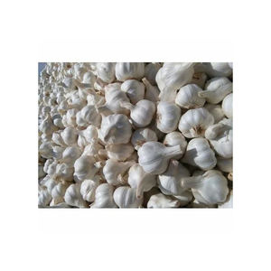 Bulk supply of Fresh Garlic with <b>strong</b> aroma and long <b>shelf</b> life - Product Image 3