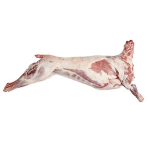 Carne de cordero fresca congelada con hueso, carcasa de cordero halal elaborada para los mercados internacionales que exigen carne de calidad controlada - Product Image 5