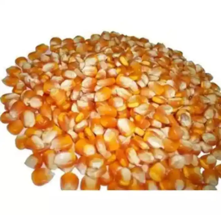 Jagung Kuning Maiz 185G Makanan Kaleng Jumlah Besar Jagung Silase