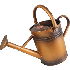 Modern Luxury Look Metal Watering Can for Plants Garden Water Can for <b>Kids</b> Flower Watering Pot for Home Gardening - Product Image 5