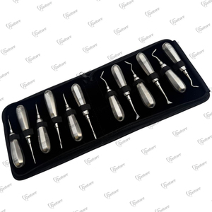Kit de Elevadores de Raíces Luxantes Premium, 12 Piezas, Acero Francés, Juego de Instrumentos Quirúrgicos Dentales con Punta Afilada - Product Image 1