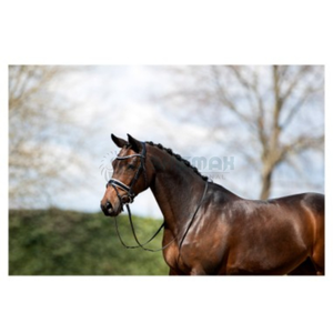 Brida y cabestro para caballo hechos para un uso duradero en entornos clásicos de cuero inglés al aire libre con características premium. - Product Image 5