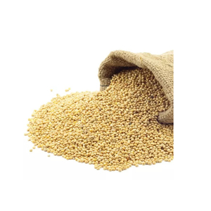 Millet jaune non raffiné, céréale saine pour un petit-déjeuner nutritif, sans coque, dernière récolte, vente en gros d'usine, aliment biologique, sac de 10 kg, 24 - Product Image 5
