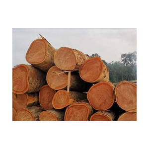 Troncos de madera de Sapele a granel con servicio de envío confiable - Product Image 3