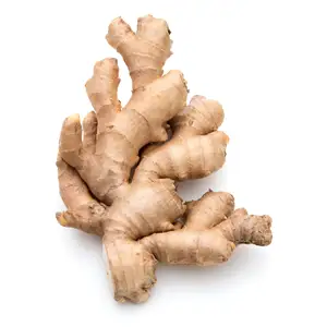 Fresh Ginger for sales