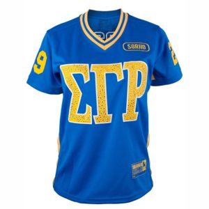 SGR Royal Football Jersey 100% poliéster deportes Jersey bordado equipo Logo corto frente espalda hombros Royal Color transpirable - Product Image 1