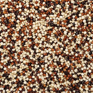 Quinoa Tricolore Biologica Premium dal Perù, 100% Pura, 12% di Umidità, Superfood ad Alto Contenuto Proteico, Confezione (25kg) Agrilatin SAC Exports - Product Image 1