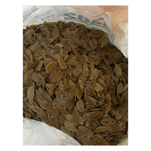 Venta caliente Natural Murex Operculum de Vietnam-Buen material para hacer perfume con alta calidad y rentable - Product Image 1