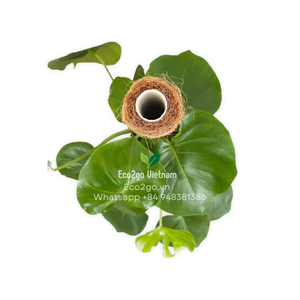 VIETNAM tongkat tanaman memanjat COIR lumut tongkat kelapa tongkat lumut tongkat COIR dukungan tanaman <span class=keywords><strong>TOTEM</strong></span>/ COIR lumut organik oleh ECO2GO VIETNA