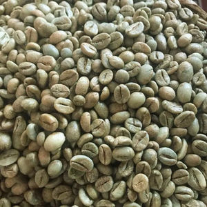 Granos de Café Robusta Tostados de Vietnam, Tamaño 16, con Certificación USDA, Alta Calidad, Exportación a Granel - Product Image 1