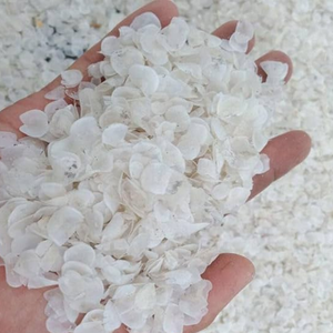 Écailles de poisson de haute qualité en provenance du Vietnam - Traitement propre, qualité constante - Product Image 1