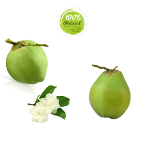 ผลิตภัณฑ์เพิ่มความชุ่มชื้นจากธรรมชาติมะพร้าวสดจากเวียดนามจากผลิตภัณฑ์ทางการเกษตร - Product Image 1