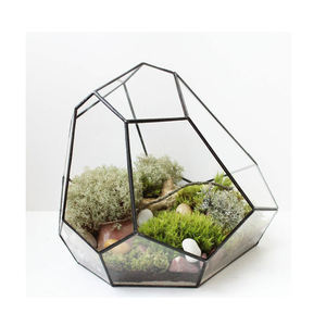 เทอราเรียมแก้วสีดำสำเร็จรูปคุณภาพสูงแจกันแก้วใสสำหรับปลูกต้นไม้บ้านและสวน - Product Image 1