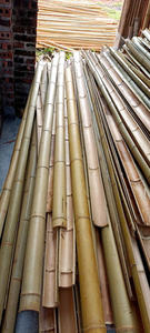 Tubes en bambou, produit tendance de 99D avec devis compétitifs pour les acheteurs en gros et les partenaires d'approvisionnement à long terme - Product Image 3